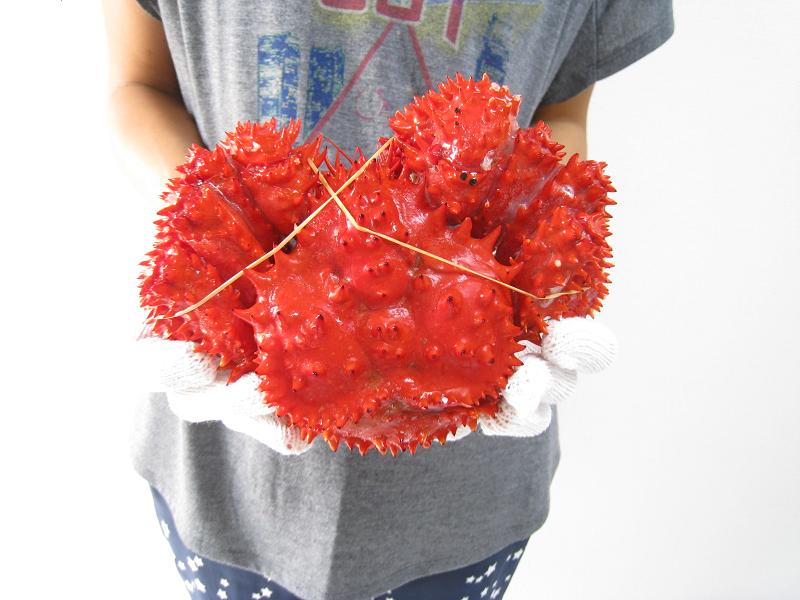 花咲ガニのさばき方