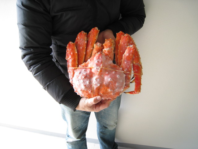 持つ時は・・・軍手をしたほうがよいですね。