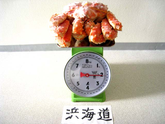 量りではかってみました。