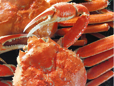 ズワイガニの画像