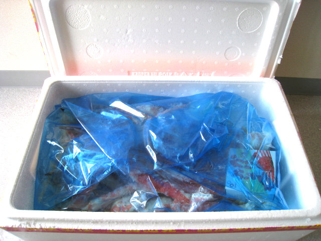 これも冷凍されたタラバガニです。