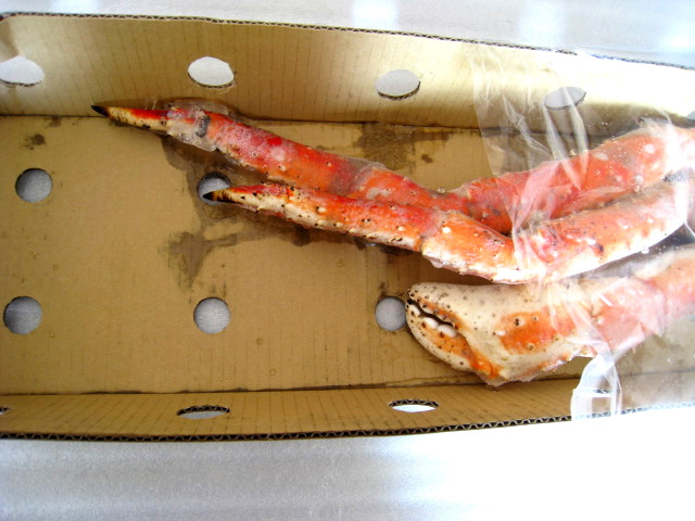 きちんと凍っています。