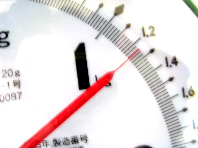 お、結構重そうです!