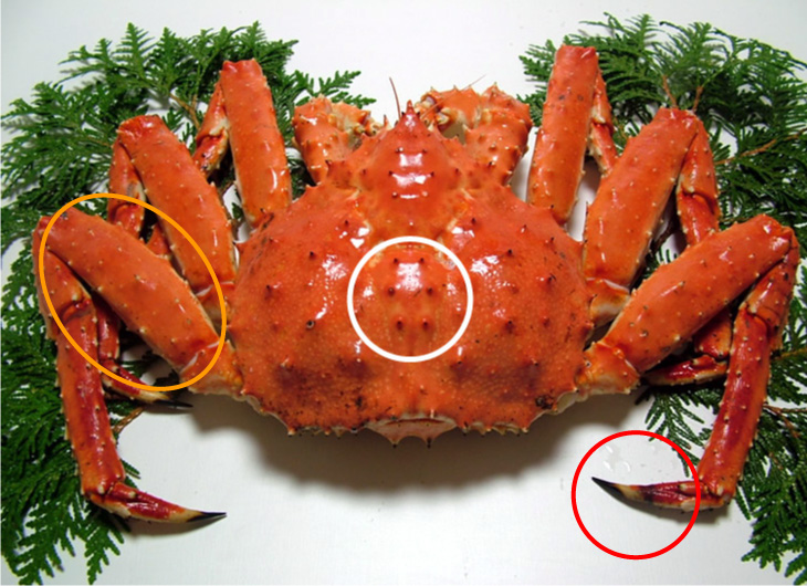 タラバガニの画像