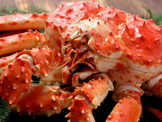 タラバガニの画像