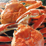 ズワイガニの画像